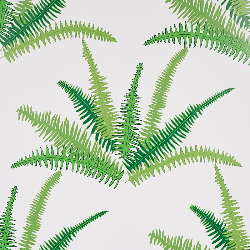 Eade’s JUNGLE