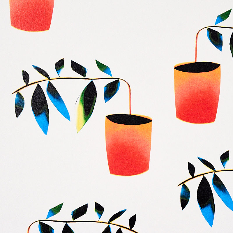 Eade’s SPECTRUM MULTI