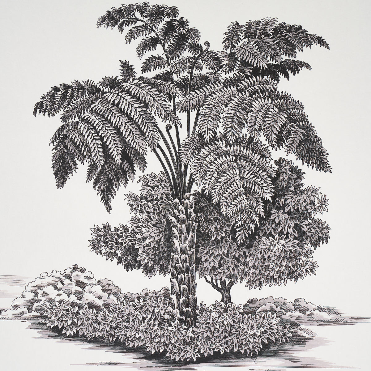 Eade’s BLACK ON IVORY