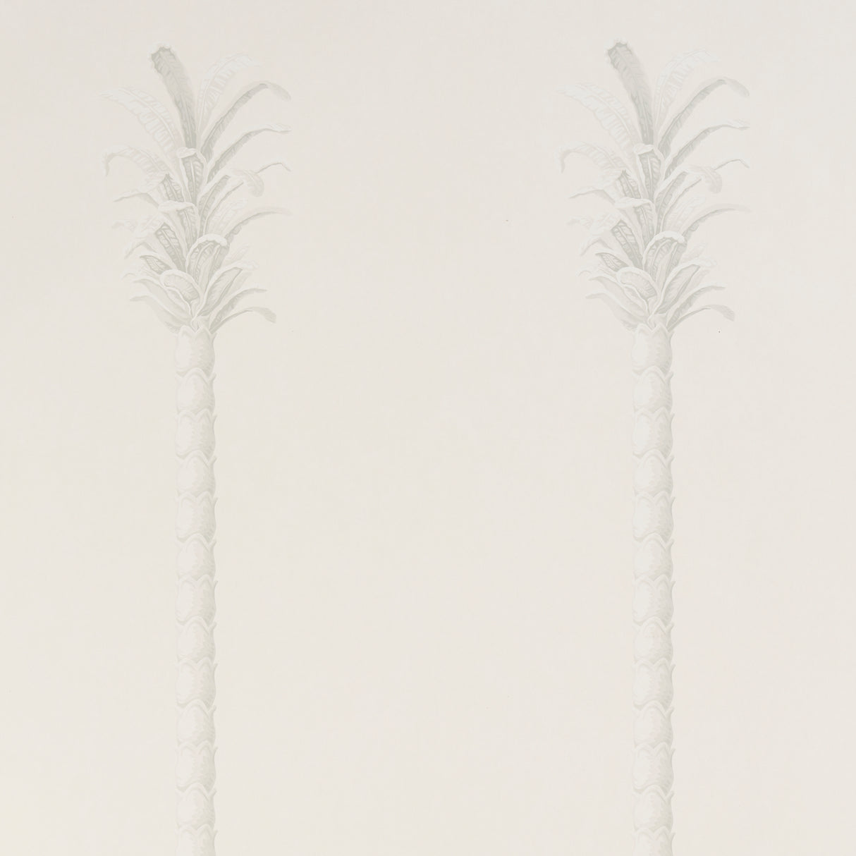 Eade’s WHITE/IVORY