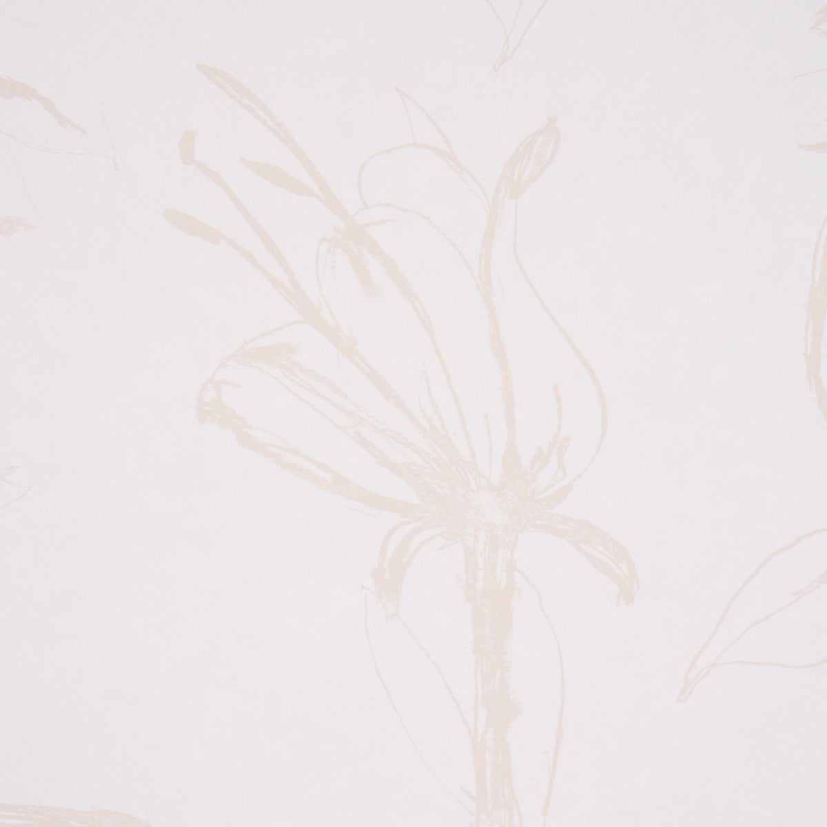 Eade’s LIGHT NEUTRAL