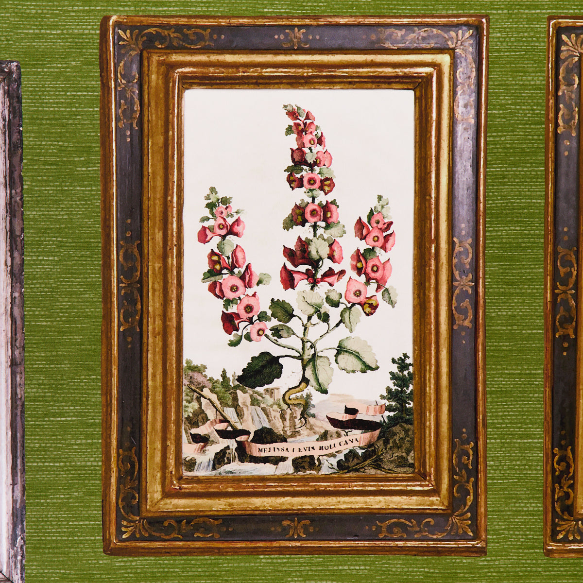 Eade’s ENGLISH GREEN