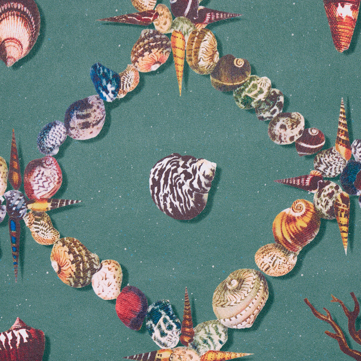 Eade’s MULTI ON TEAL