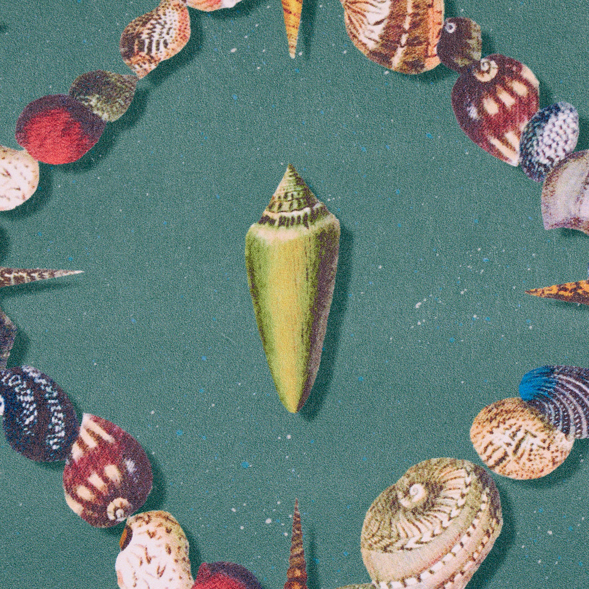 Eade’s MULTI ON TEAL