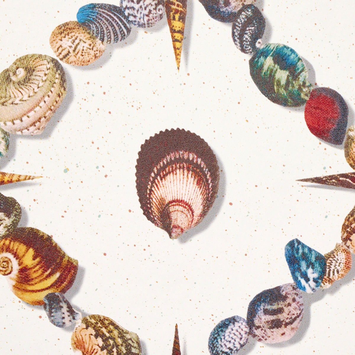 Eade’s MULTI ON IVORY