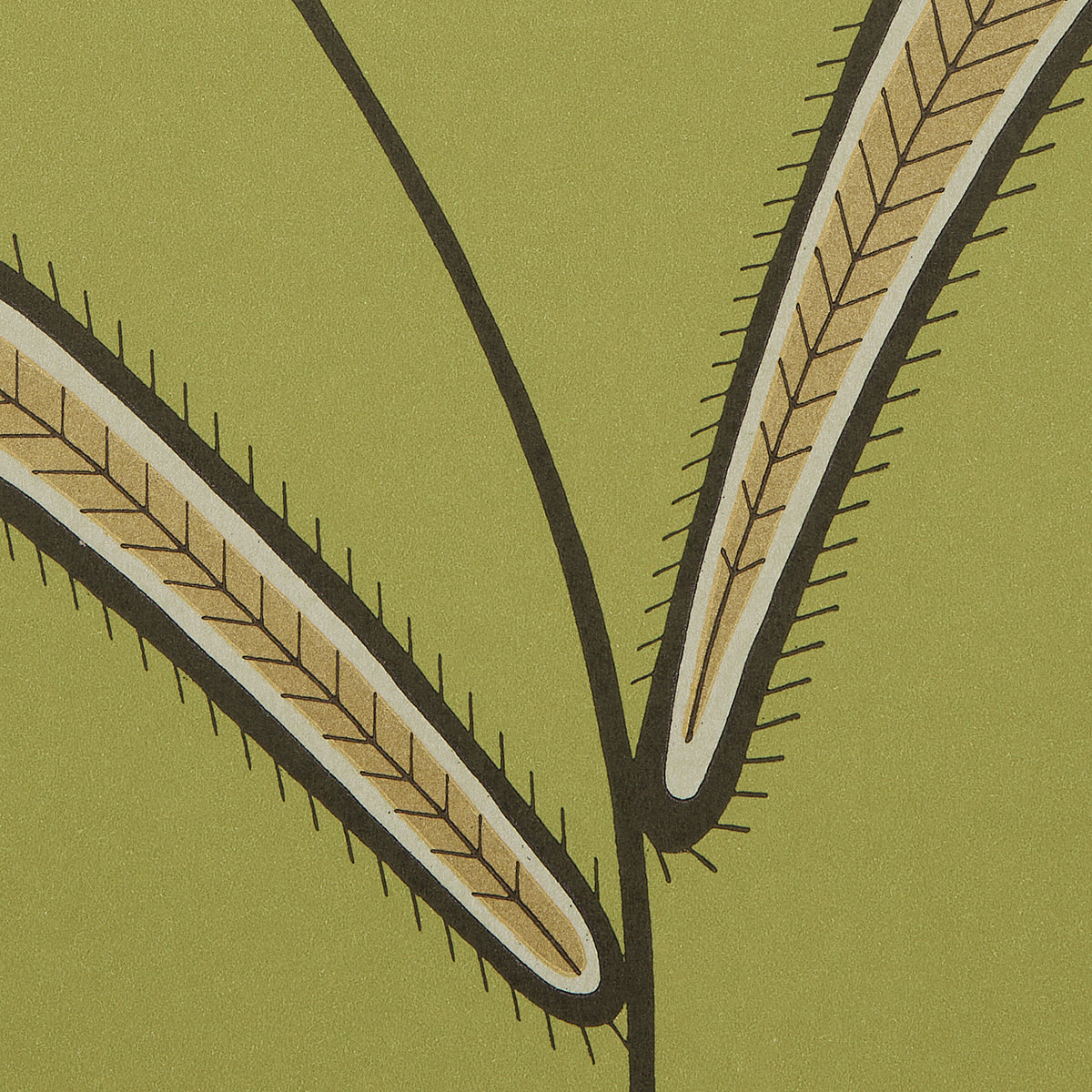 Eade’s MEADOW GREEN