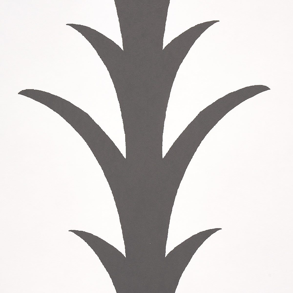 Eade’s CARBON ON IVORY