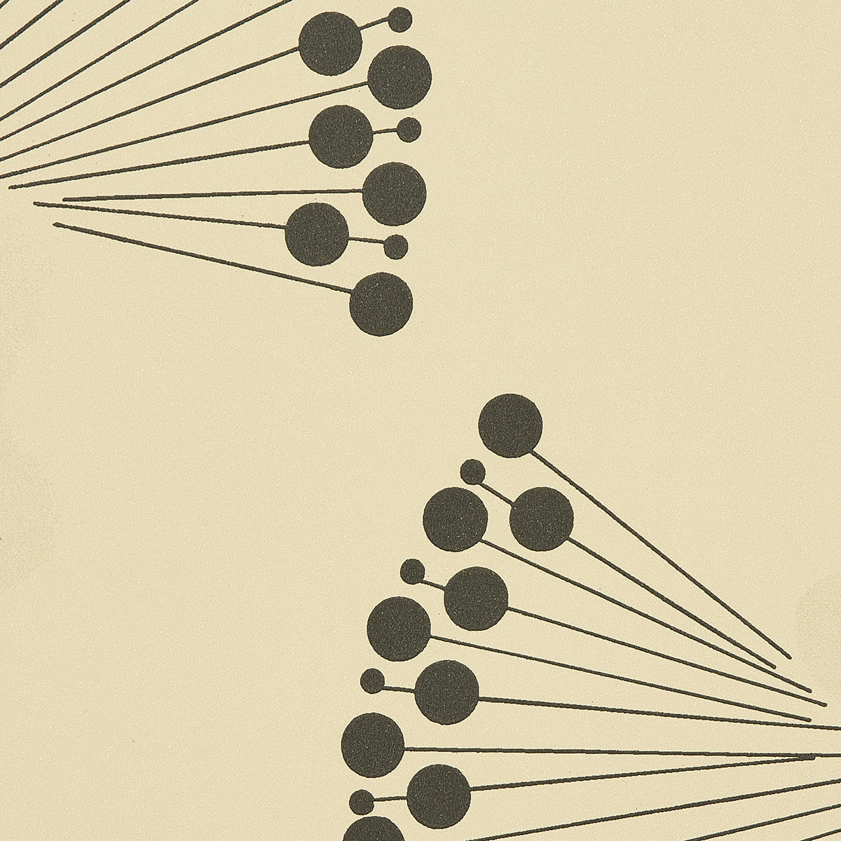 Eade’s BLACK & WHITE