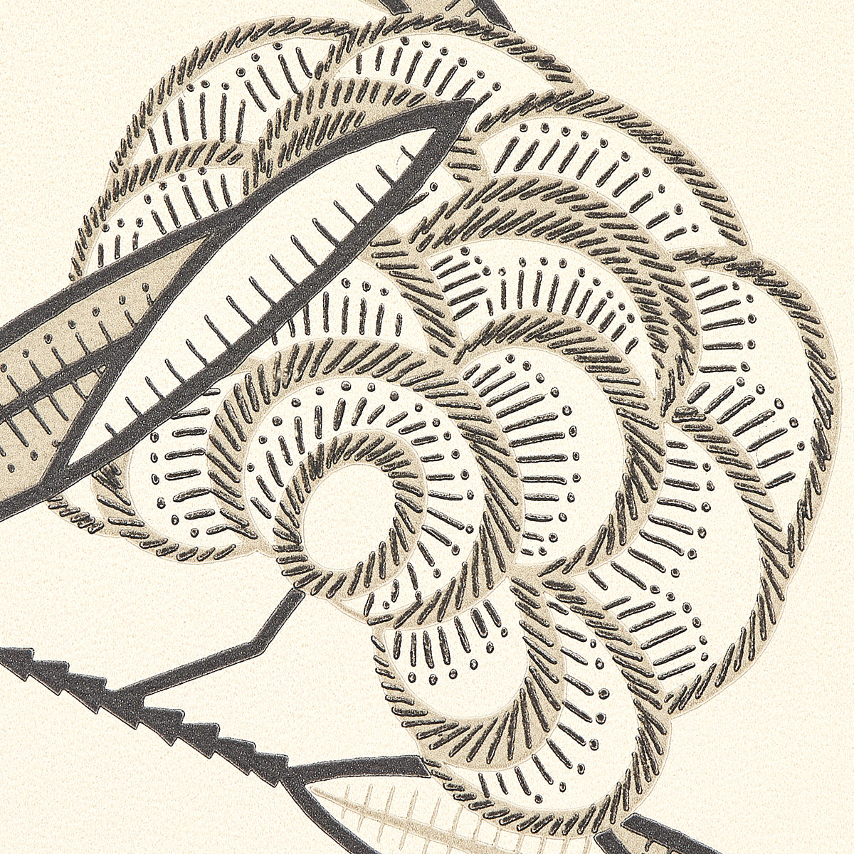 Eade’s BLACK & CREAM