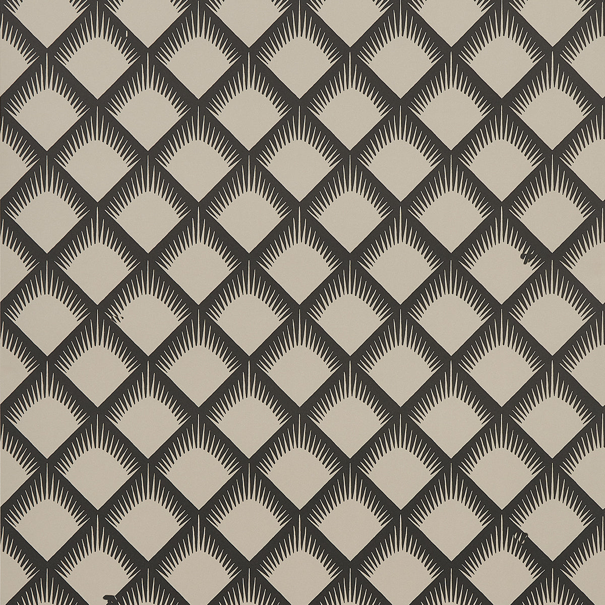 Eade’s BLACK & CREAM