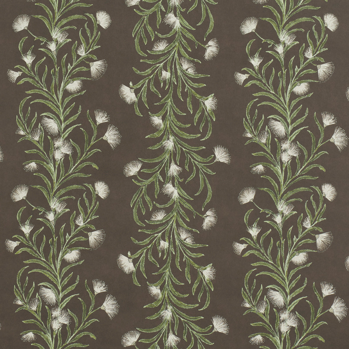 Eade’s BROWN &GREEN