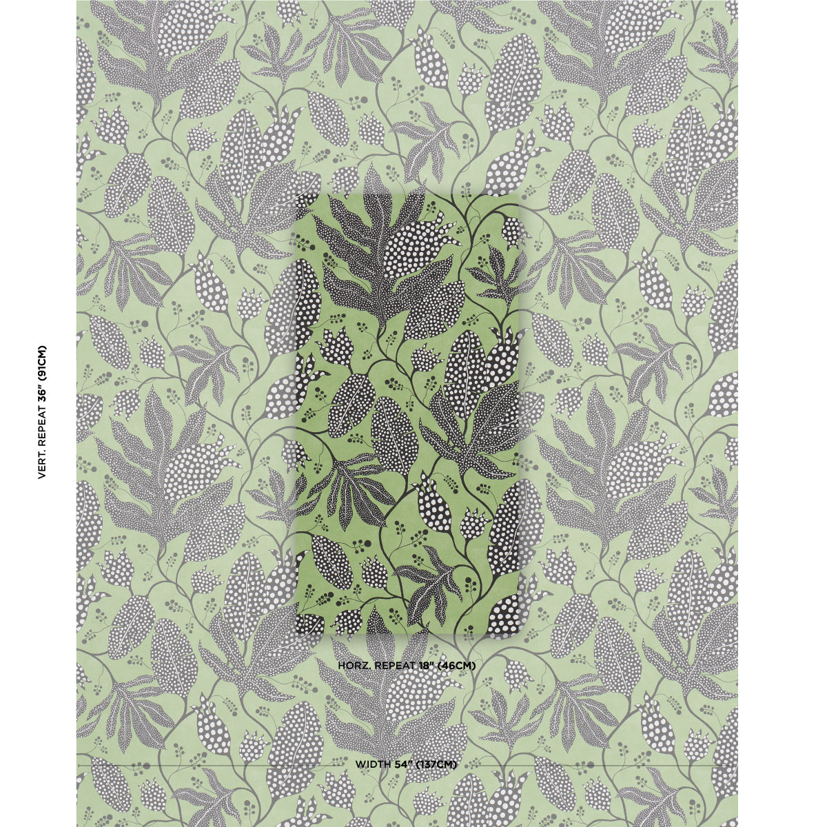 Eade’s BLACK & GREEN