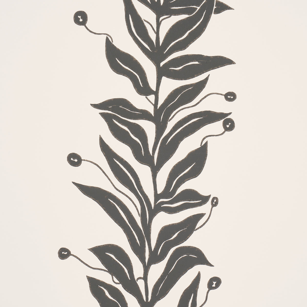 Eade’s BLACK & CREAM