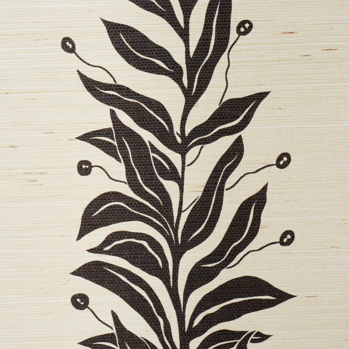 Eade’s BLACK & CREAM