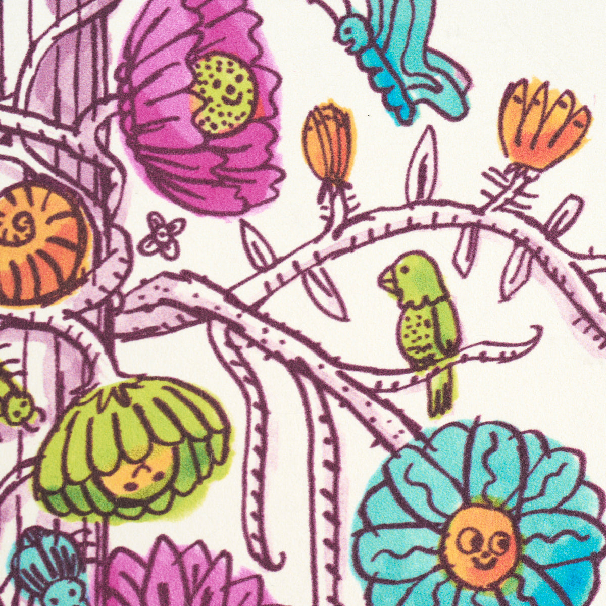 Eade’s MULTICOLOR BURST