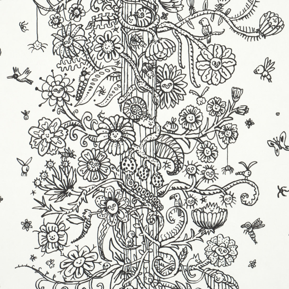 Eade’s BLACK & WHITE