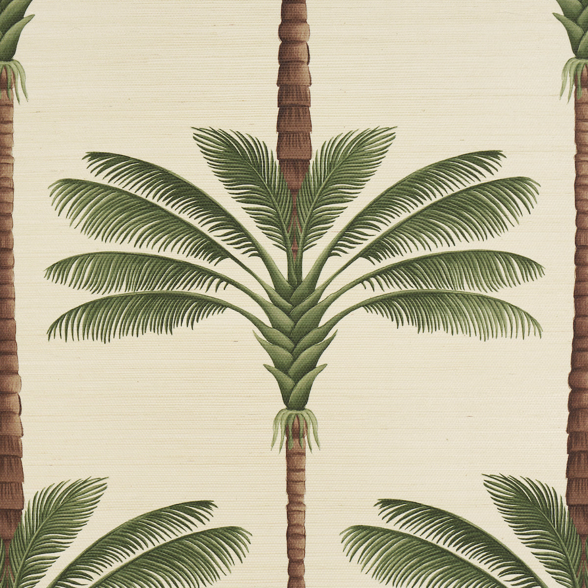 Schumacher 5016961 A PALM IS A PALM SISAL in DAYLIGHT EVERGR