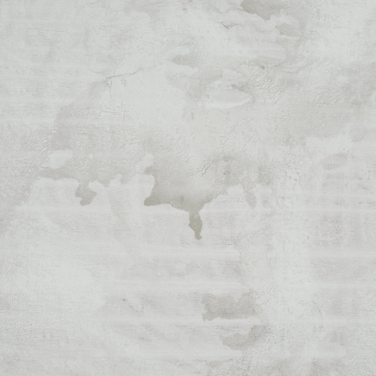 Schumacher 5017152 VALIANT in DOVE Wallpaper - COLETTE COSEN