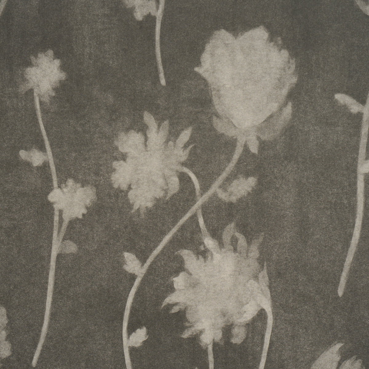 Schumacher 5017360 BEFORE MIDNIGHT in CHARCOAL Wallpaper - B