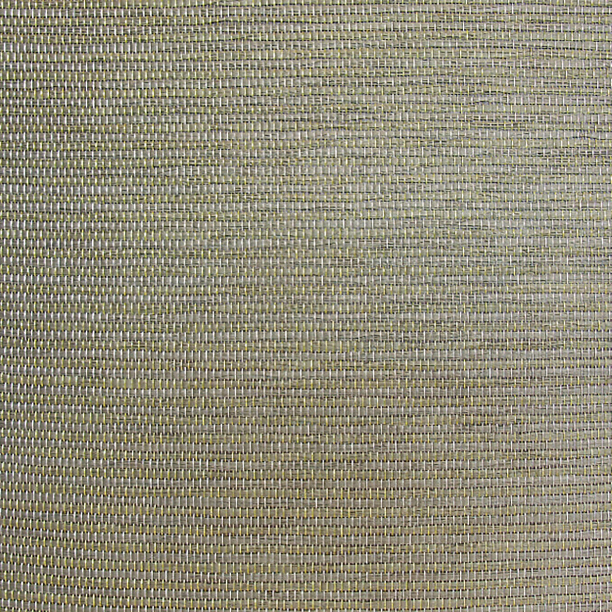 79-W6331 5150 Wallcovering - Eade's Wallpaper & Fabric