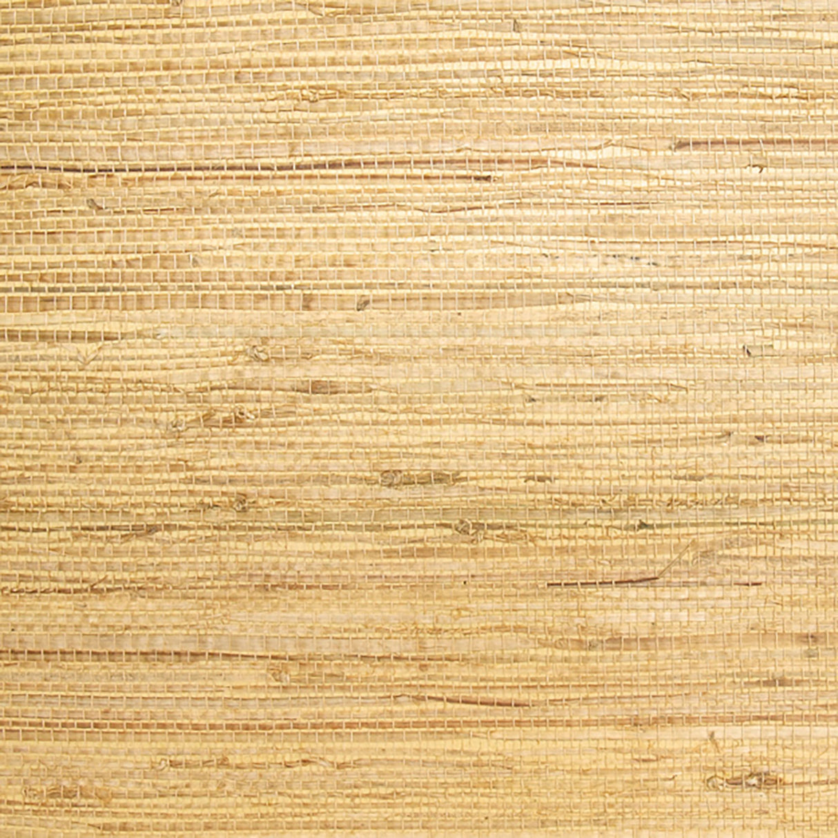 15-W6331 5151 Wallcovering - Eade's Wallpaper & Fabric