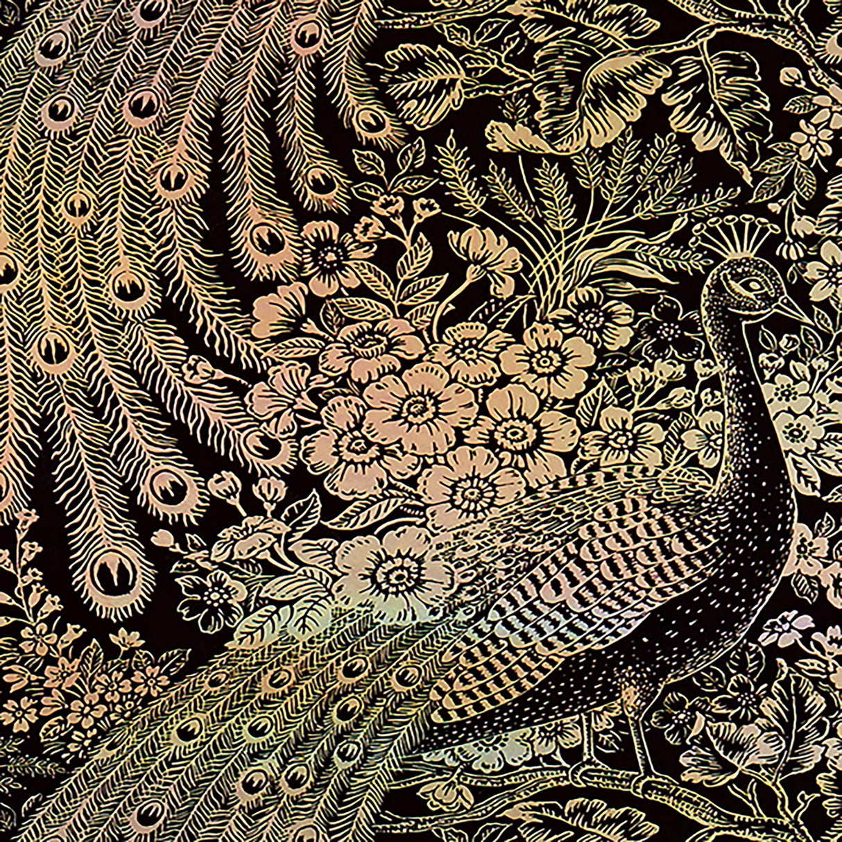 99-W7971 5271 Wallcovering - Eade's Wallpaper & Fabric