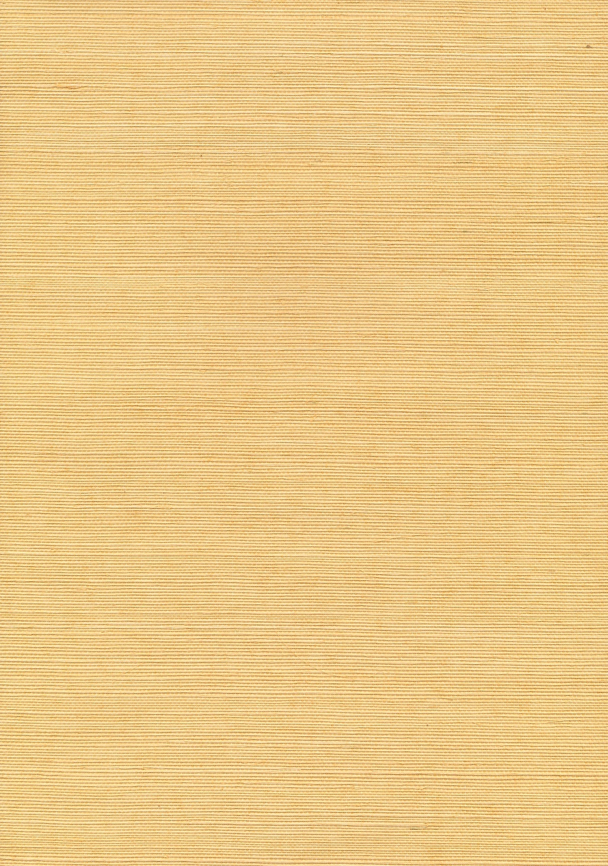 Kenneth James 53-65400 Aiko Mustard Grasscloth Wallpaper
