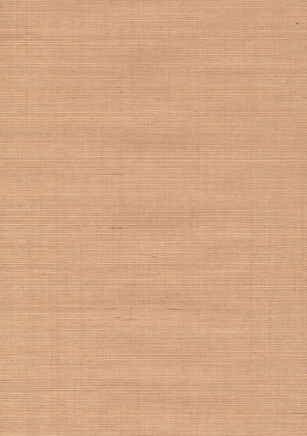 Kenneth James 53-65404 Ayano Beige Grasscloth Wallpaper