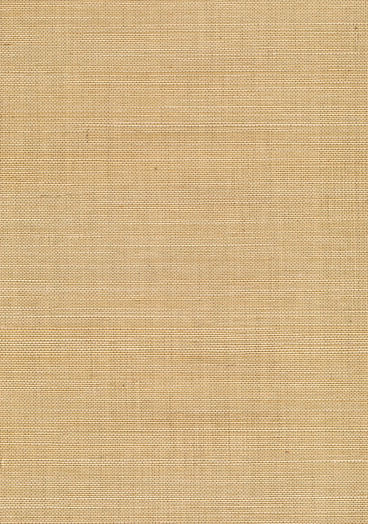 Kenneth James 53-65406 Chiyo Beige Grasscloth Wallpaper
