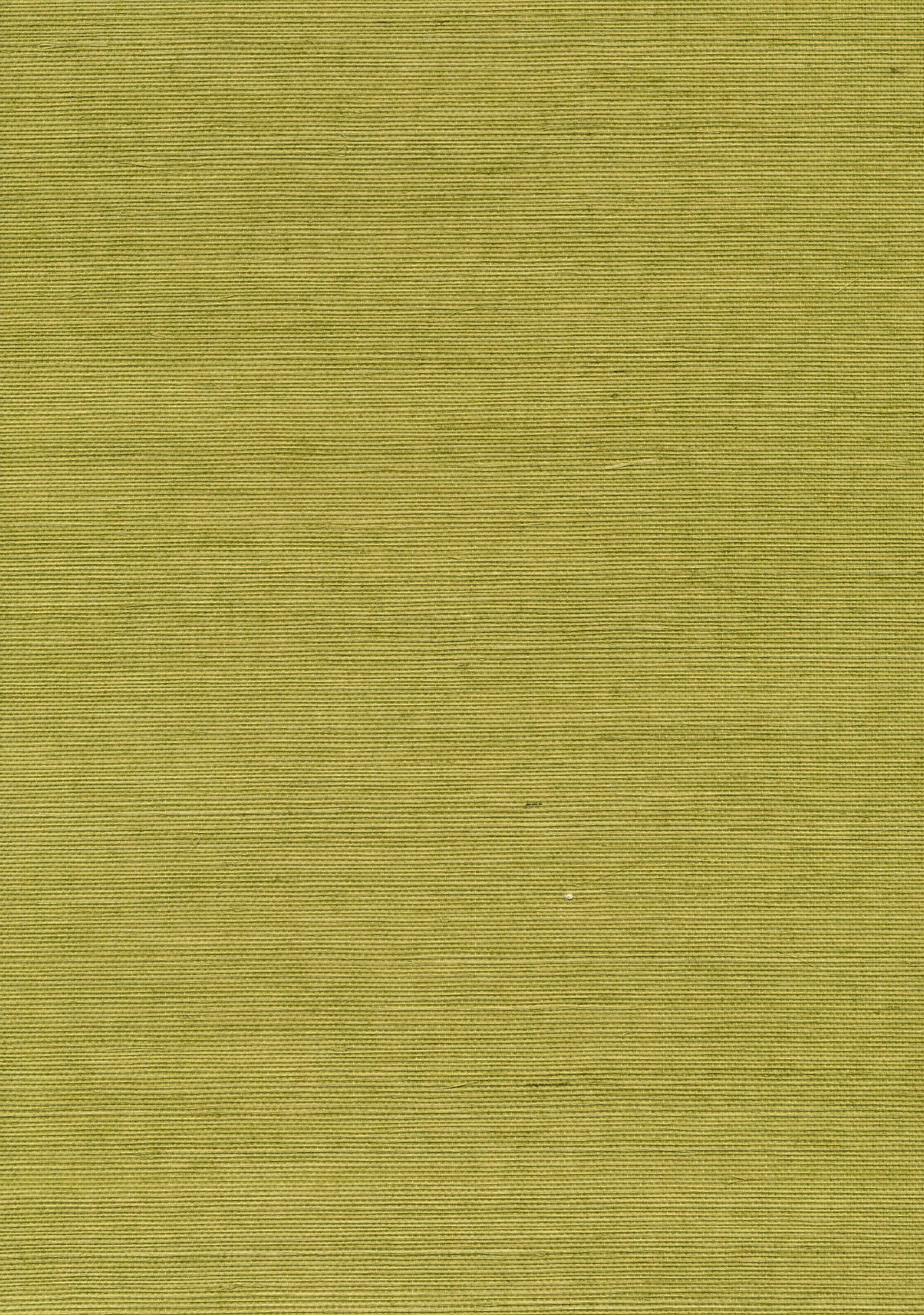 Kenneth James 53-65413 Hana Light Green Grasscloth Wallpaper