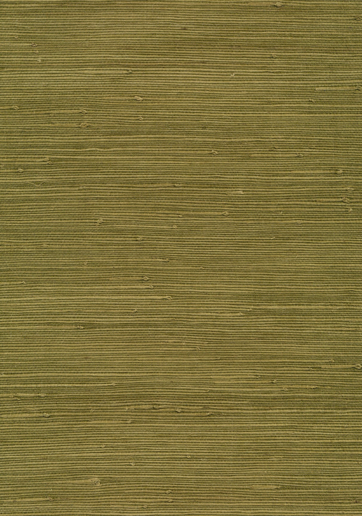 Kenneth James 53-65430 Izumi Olive Grasscloth Wallpaper