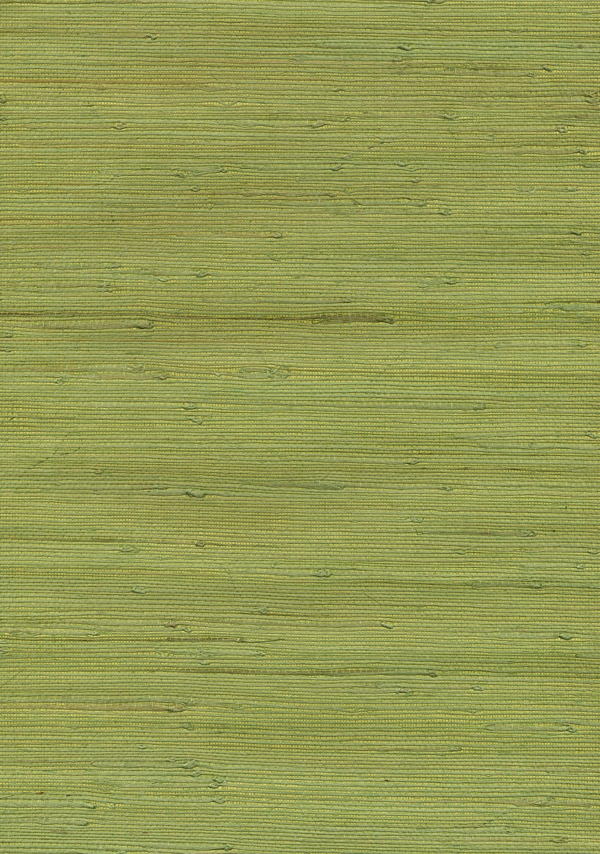 Kenneth James 53-65431 Jirou Green Grasscloth Wallpaper
