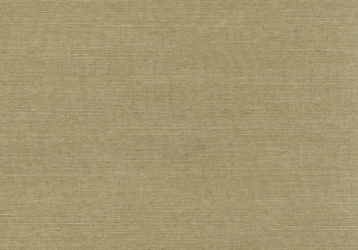 Kenneth James 53-65664 Saki Light Green Grasscloth Wallpaper