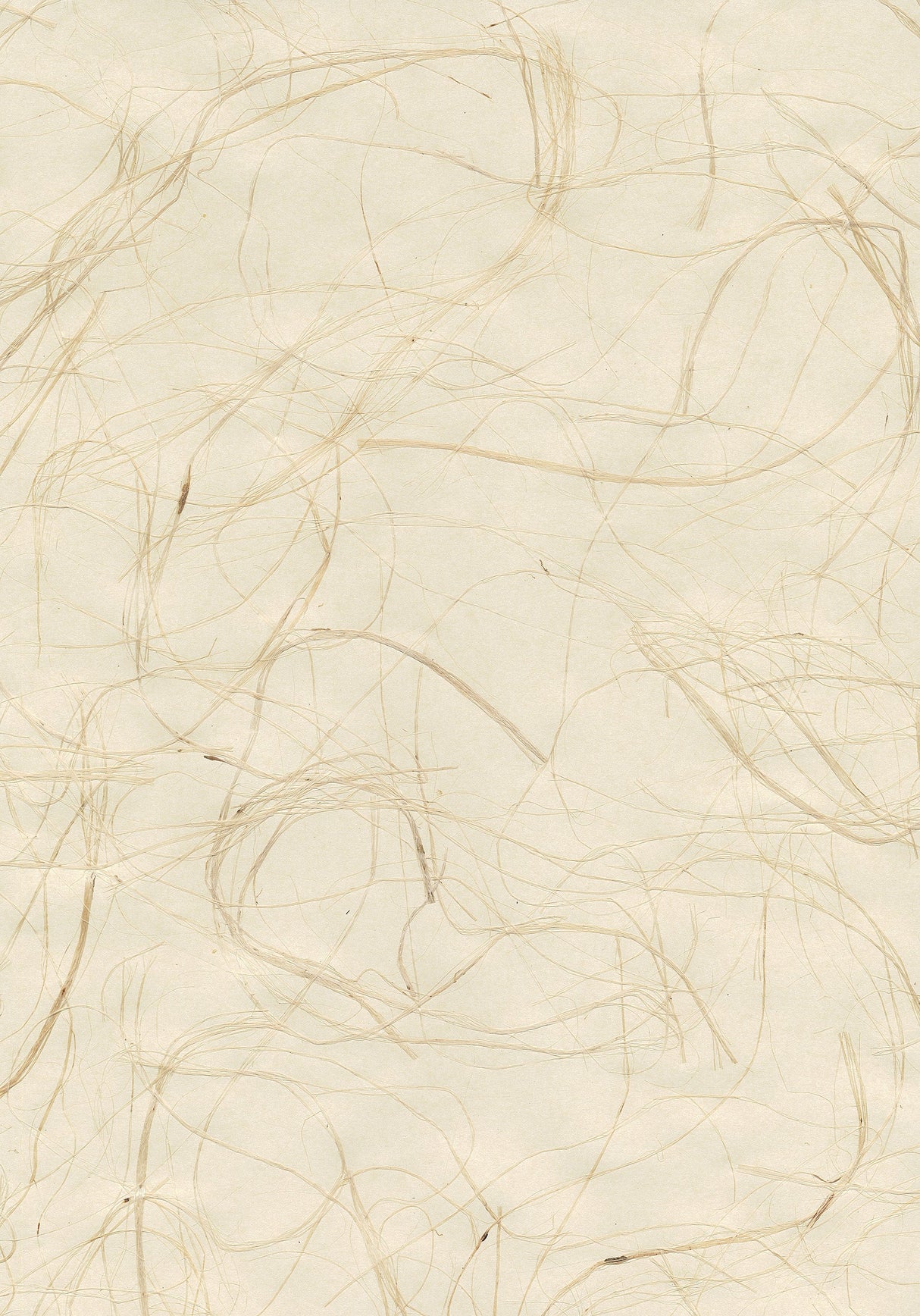 Kenneth James 53-65673 Suzume Cream Grasscloth Wallpaper