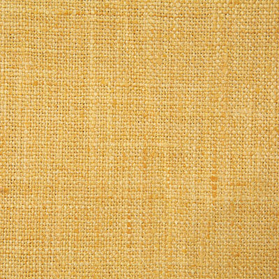 Pindler DRINA BANANA 5313 Fabric