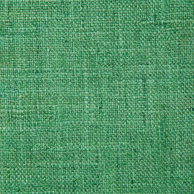 Pindler DRINA GRASS 5313 Fabric