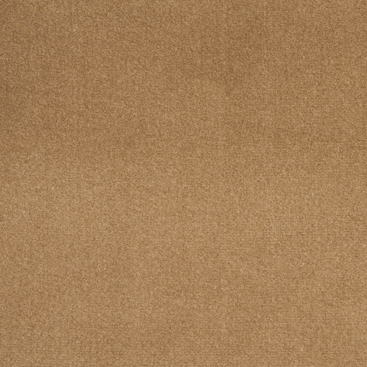 Schumacher 55282 COTTON CLUB VELVET in FAWN Fabric - PERFECT