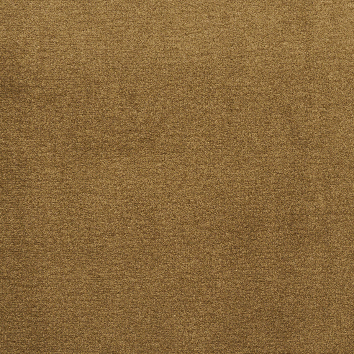 Schumacher 55283 COTTON CLUB VELVET in THYME Fabric - PERFEC