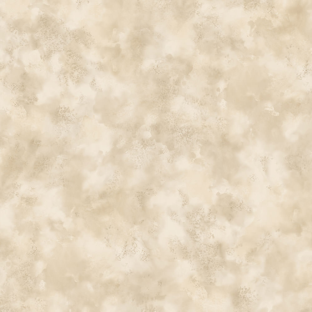 Patton / Norwall TS TX34834 Texture