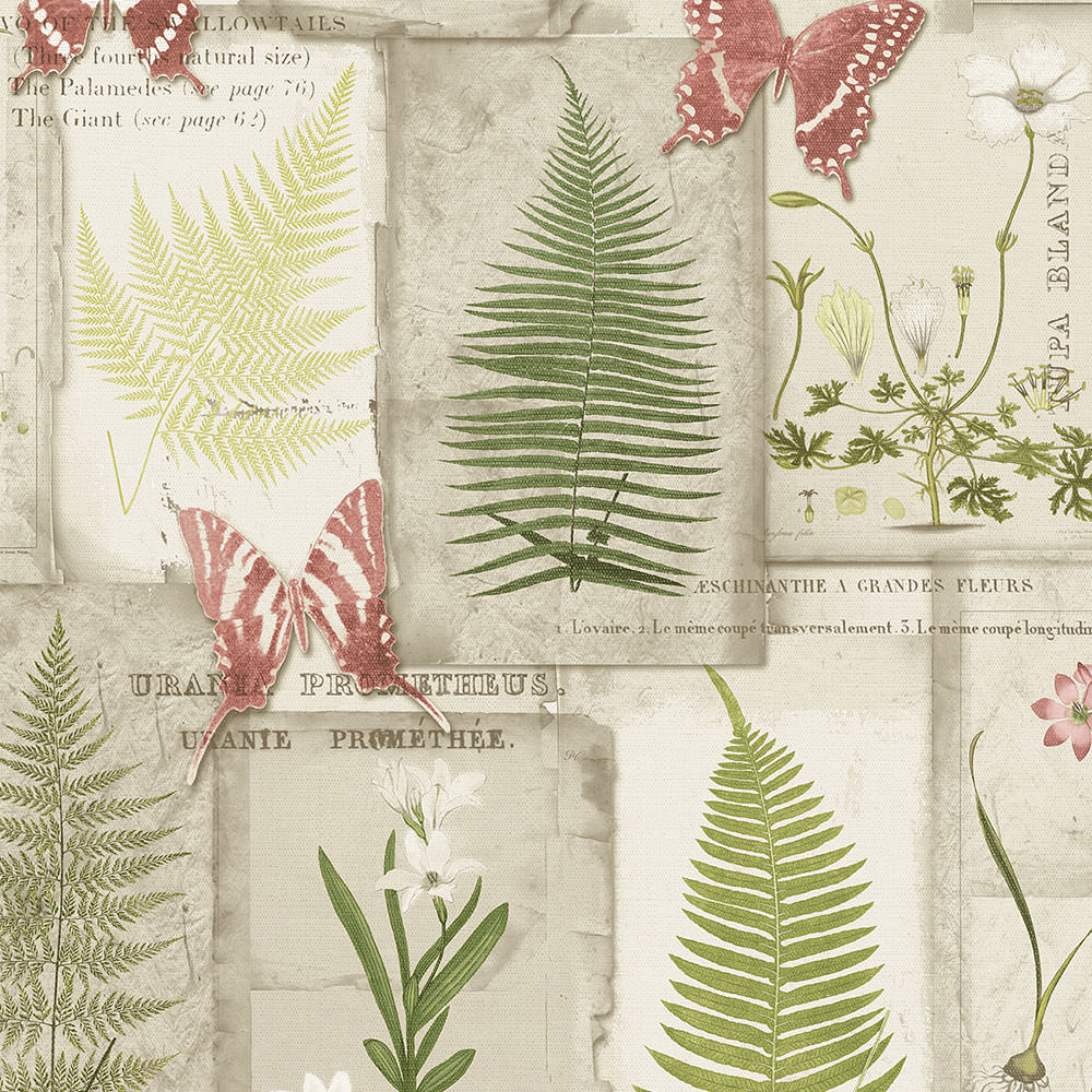 Patton / Norwall FK FK34416 Botanical