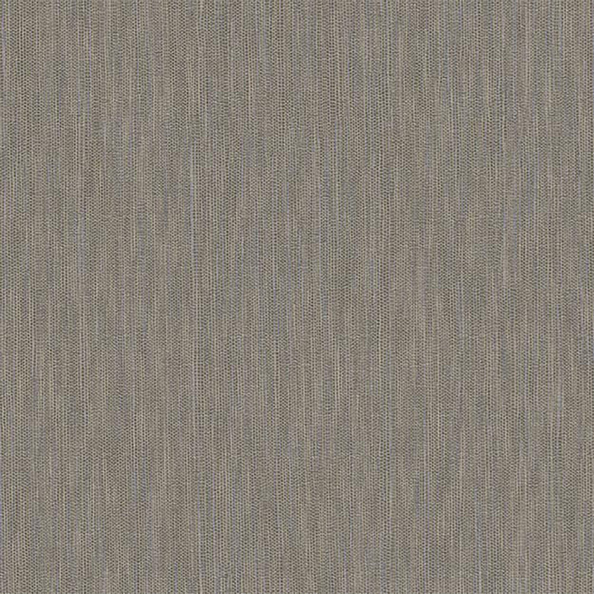 54-W7241 6049 Wallcovering - Eade's Wallpaper & Fabric