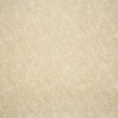 Pindler WRANGLER BUFF 6138 Fabric - Fabric Collection