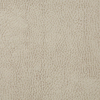 Pindler BUCKAROO BEIGE 6139 Fabric - Fabric Collection