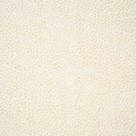 Pindler BUCKAROO WHITE 6139 Fabric - Fabric Collection