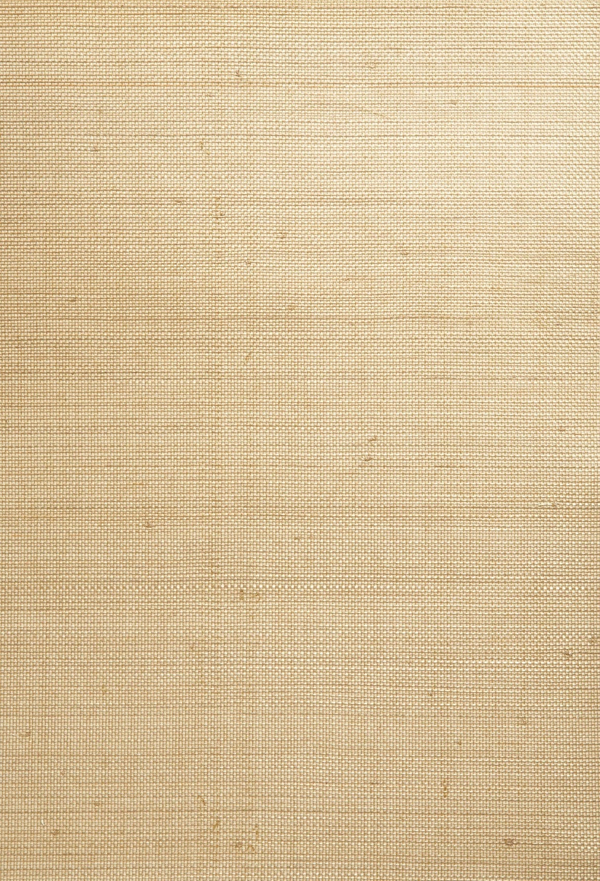 Kenneth James 63-54756 Chan Juan Taupe Grasscloth Wallpaper