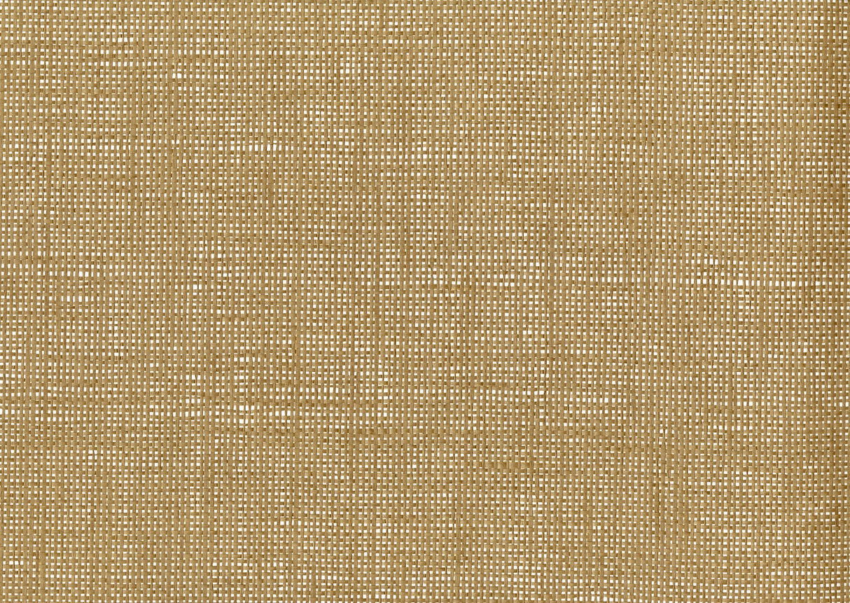 Kenneth James 63-54781 Jiali Brown Grasscloth Wallpaper