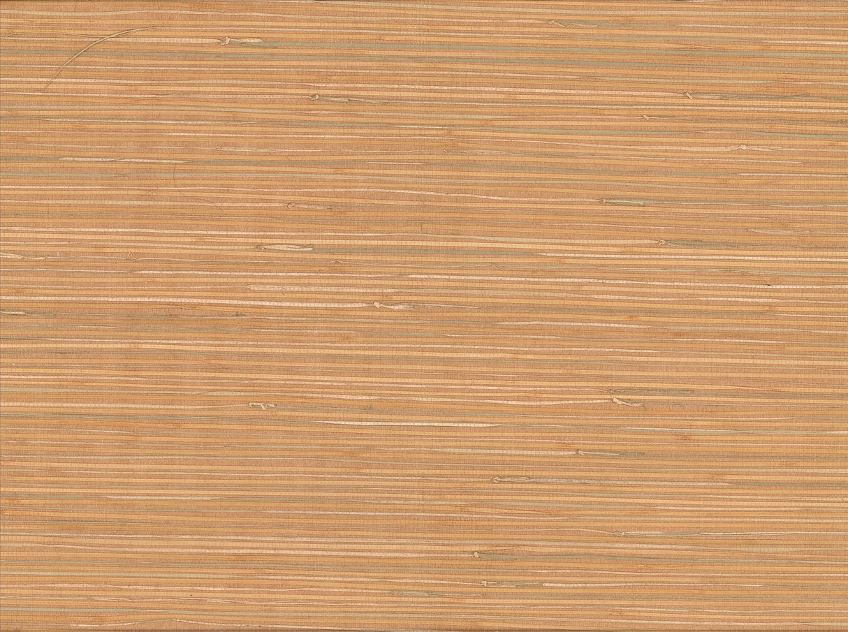 Kenneth James 63-65424 Li Na Light Brown Grasscloth Wallpaper