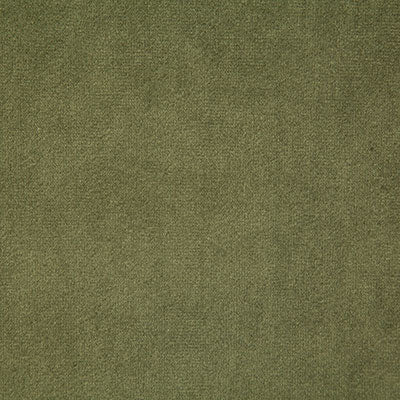 Pindler VOLTAIRE FERN 6334 Fabric - Fabric Collection