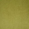 Pindler VOLTAIRE OLIVE 6334 Fabric - Fabric Collection