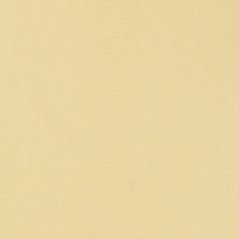 Schumacher 63842 TIEPOLO SHANTUNG WEAVE in IVORY Fabric - PE